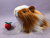 Little Ginger Dutch Longhaired Guinea Pig Plushie