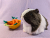 Big Dark Brown Dutch Guinea Pig Plushie