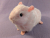 Big Pink Guinea Pig Plushie