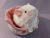 Little Pink Dutch Guinea Pig Plushie