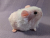 Little Pink Dutch Guinea Pig Plushie