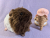Big Neapolitan "Nea" Guinea Pig Plushie