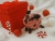 Red & White Candies Guinea Pig Ornament (Black)