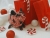 Red & White Candies Guinea Pig Ornament (Black)
