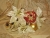 White Poinsettias Guinea Pig Ornament