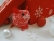 Red with White Snow Guinea Pig Ornament