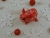 Red with White Snow Guinea Pig Ornament