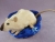 Siamese Rat Plushie
