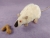 Siamese Rat Plushie