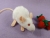 White Mouse Plushie