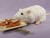 White Rex Rat Plushie