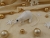 White Snow Mouse/Rat Ornament (Gold)