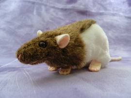 Agouti Brown Half-Hooded Rat Plushie