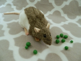 Agouti Grey Hooded Rat Plushie