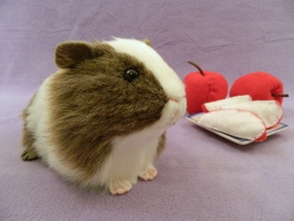 Big Agouti Dutch Guinea Pig Plushie