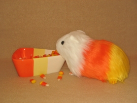 Big Candy Corn Guinea Pig Plushie