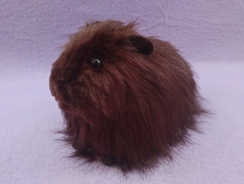 Big Dark Brown Longhaired Guinea Pig Plushie