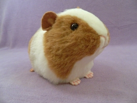 Big Golden Brown Dutch Guinea Pig Plushie