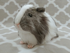 Big Grey Dutch Guinea Pig Plushie