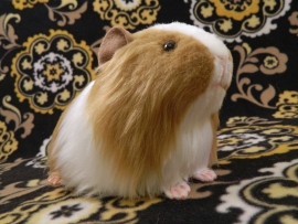 Big Tan Dutch Guinea Pig Plushie