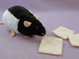 Black Hooded Rat Plushie
