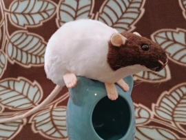 Dark Brown Capped Rat Plushie