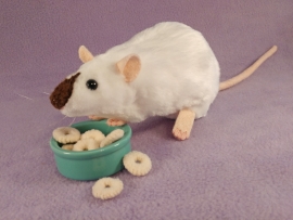 Himalayan Rat Plushie