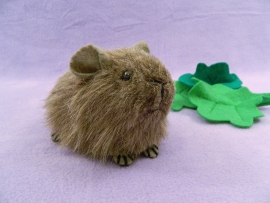 Little Agouti Guinea Pig Plushie