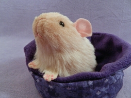 Little Beige Guinea Pig Plushie