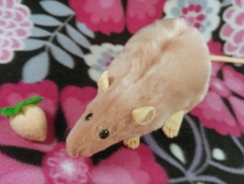 Pink Rat Plushie