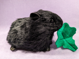 Big Black Guinea Pig Plushie