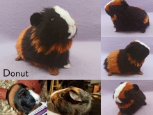 donut_copy_resized_1.jpg