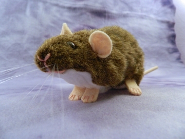 Agouti Brown Berkshire Rat Plushie