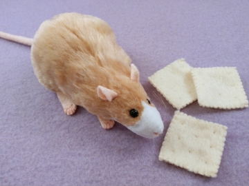 Beige Blazed Rat Plushie