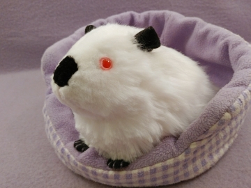 Big Black Himalayan Guinea Pig Plushie