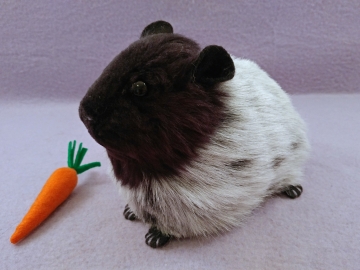 Big Black Roan Guinea Pig Plushie