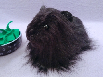 Big Black Longhaired Guinea Pig Plushie