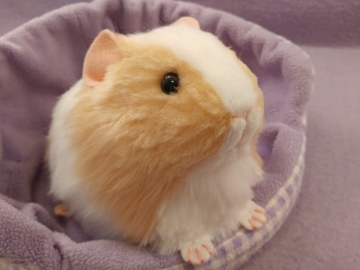 Big Buff Dutch Guinea Pig Plushie