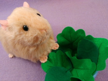 Big Buff Guinea Pig Plushie