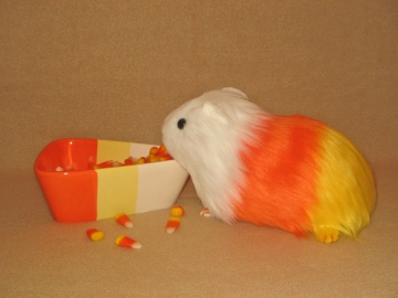 Big Candy Corn Guinea Pig Plushie