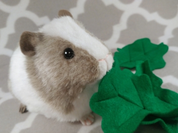 Big Silver Dutch Guinea Pig Plushie