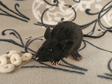 Black Mouse Plushie