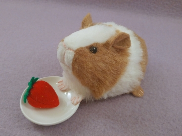 Little Golden Brown Dutch Guinea Pig Plushie