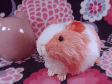 Little Hot Pink Dutch Guinea Pig Plushie