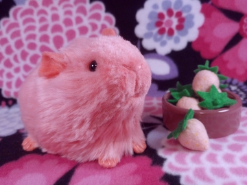 Little Hot Pink Guinea Pig Plushie