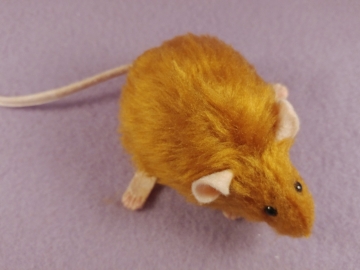 Chubby Ginger Mouse Plushie