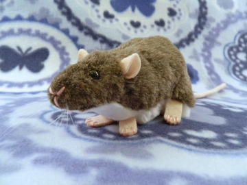Mink Berkshire Rat Plushie