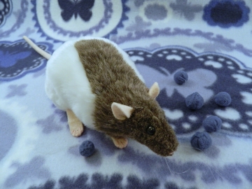 Mink Half-Hooded Rat Plushie