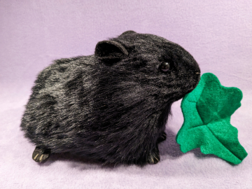 Big Black Guinea Pig Plushie