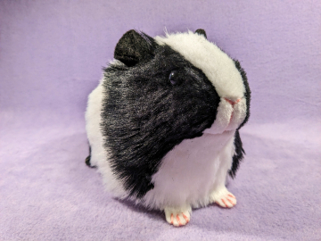 Big Black Dutch Guinea Pig Plushie